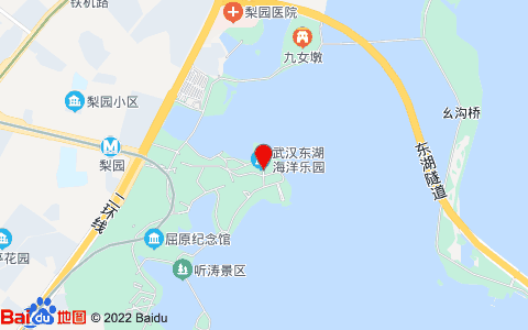 武汉东湖海洋世界攻略(武汉东湖海洋世界 门票)-第8张图片-文史 武汉东湖海洋世界攻略(武汉东湖海洋世界 门票)-第8张图片-文史