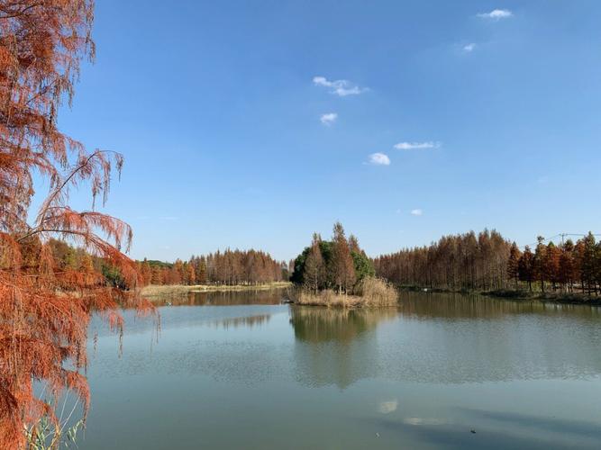 上海青浦区天气预报,上海青浦区天气预报7天准确