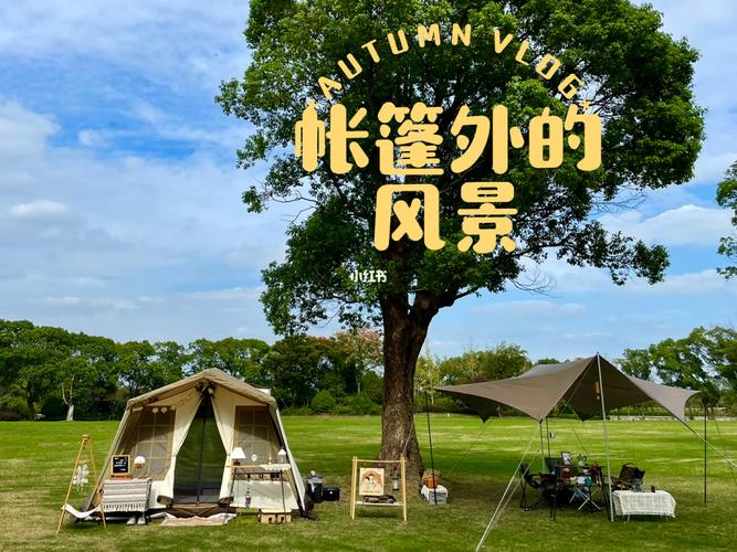 上海青浦区天气预报,上海青浦区天气预报7天准确-第8张图片-文史 上海青浦区天气预报,上海青浦区天气预报7天准确-第8张图片-文史