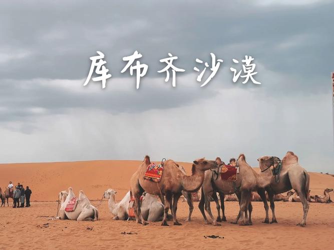 银肯响沙湾天气预报（银肯塔拉响沙湾天气）-第4张图片-文史