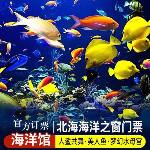 北海海底世界门票多少钱,北海海底世界门票多少钱一个人-第2张图片-文史