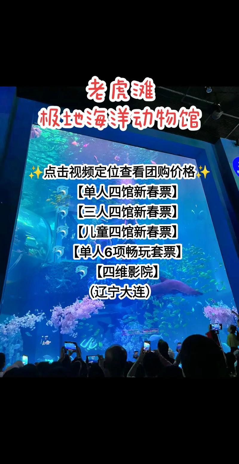 大连老虎滩官方网站购票(大连老虎滩售票)-第6张图片-文史 大连老虎滩官方网站购票(大连老虎滩售票)-第6张图片-文史