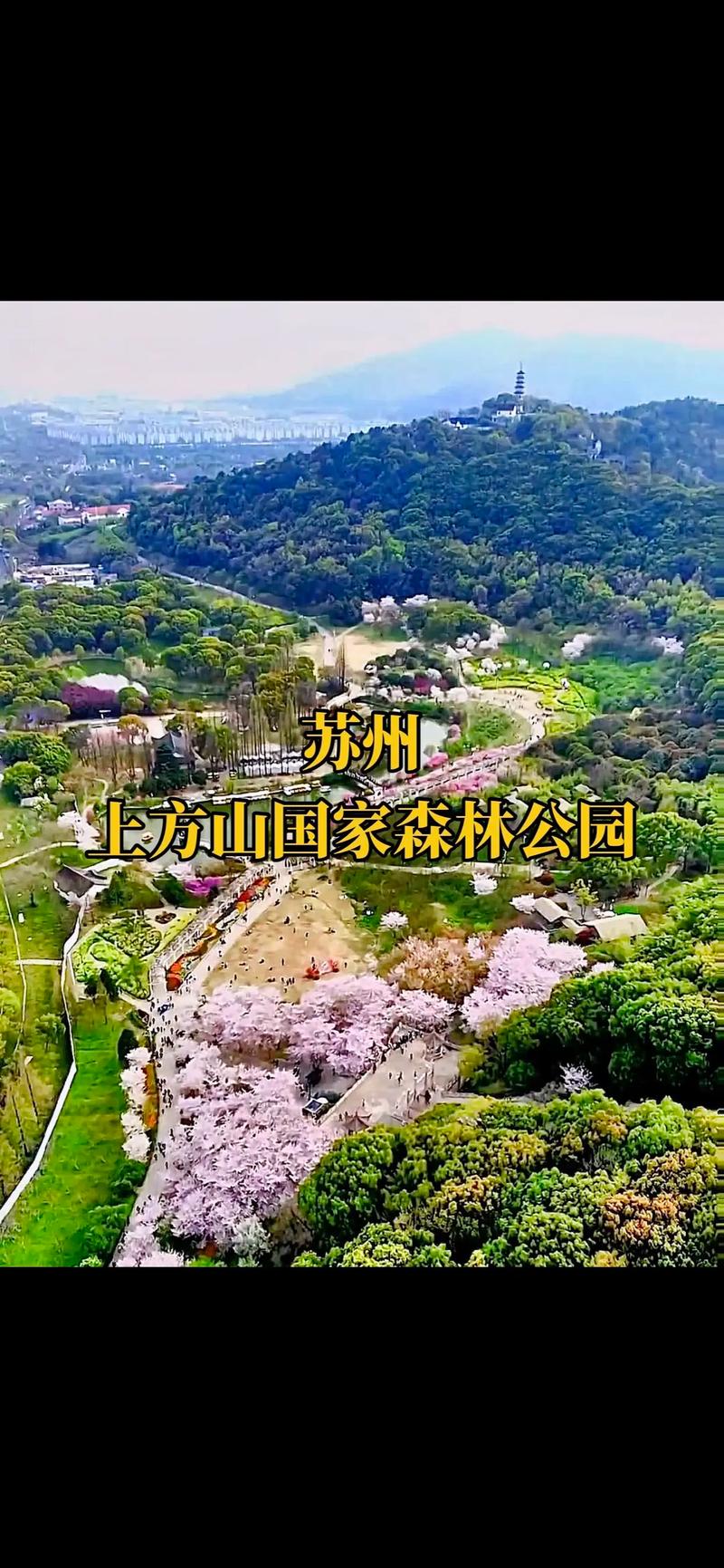苏州上方山国家森林公园门票,苏州上方山国家森林公园门票多少钱-第4张图片-文史 苏州上方山国家森林公园门票,苏州上方山国家森林公园门票多少钱-第4张图片-文史