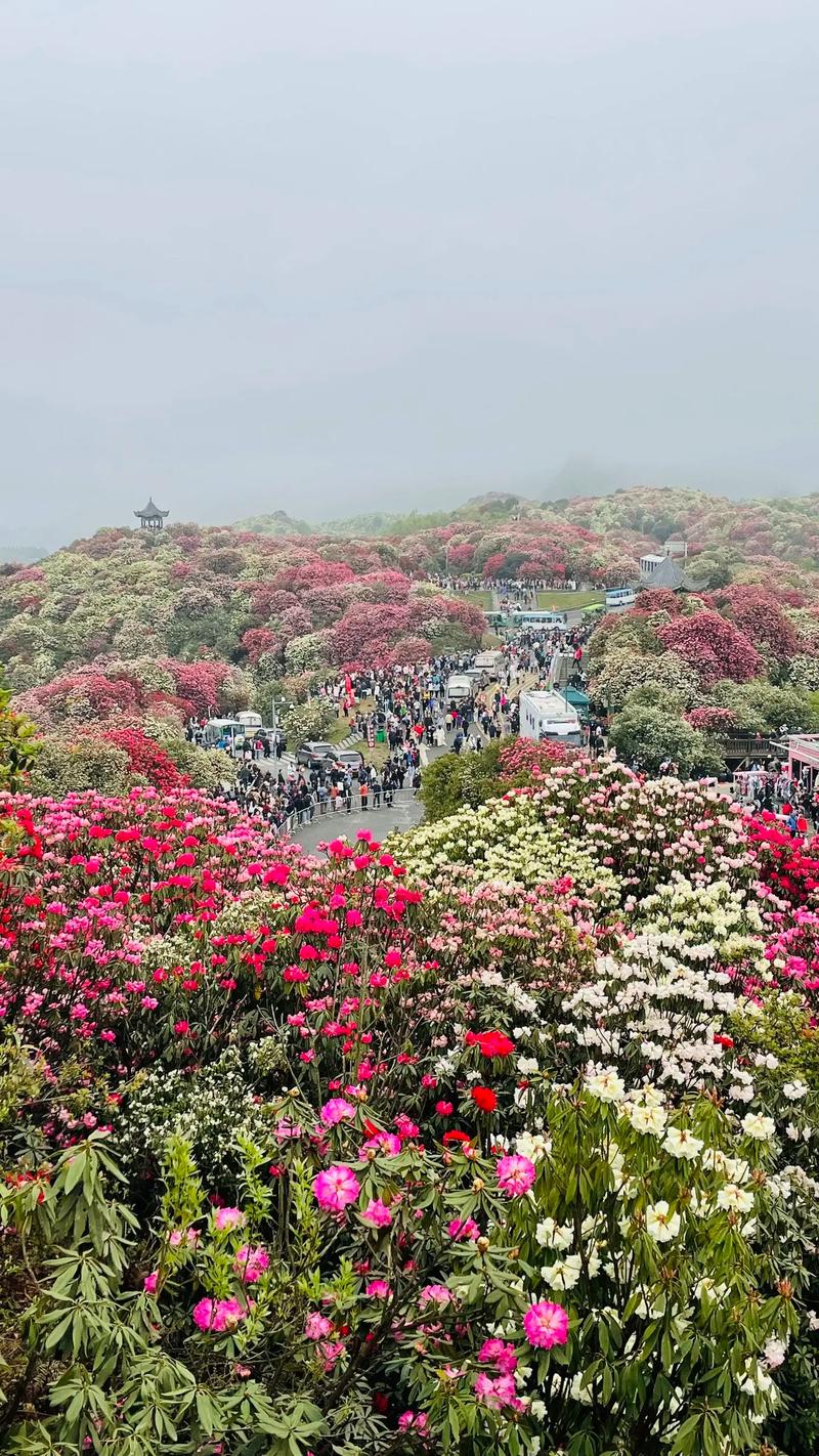 贵州毕节天气情况(贵州毕节天气预报 小时)-第4张图片-文史 贵州毕节天气情况(贵州毕节天气预报 小时)-第4张图片-文史