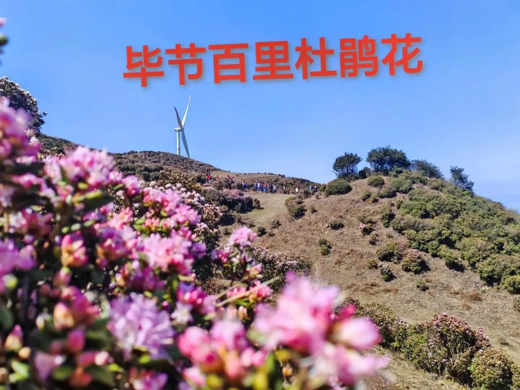 贵州毕节天气情况(贵州毕节天气预报 小时)-第5张图片-文史 贵州毕节天气情况(贵州毕节天气预报 小时)-第5张图片-文史