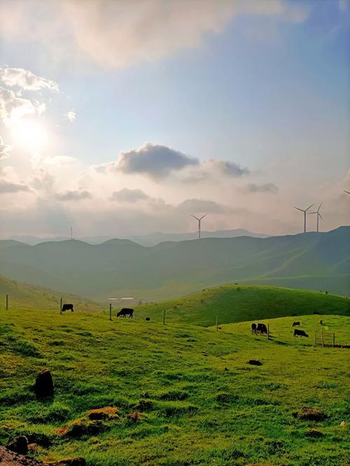 南山牧场天气预报,南山牧场天气预报15天查询-第4张图片-文史