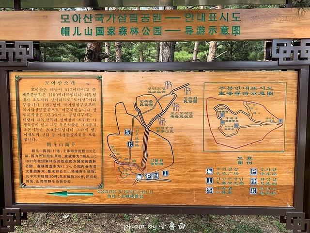 帽儿山(帽儿山海拔多少米高)-第6张图片-文史 帽儿山(帽儿山海拔多少米高)-第6张图片-文史