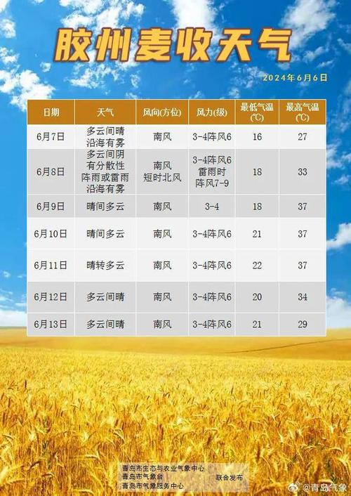 胶州天气预报7天(胶州天气预报7天一周查询结果)-第1张图片-文史 胶州天气预报7天(胶州天气预报7天一周查询结果)-第1张图片-文史