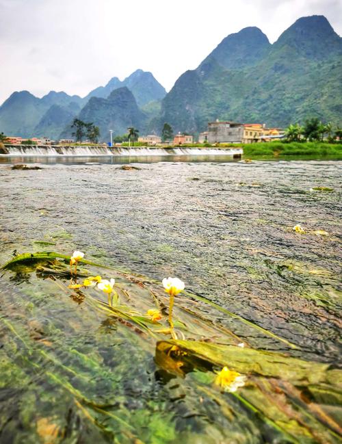都安天气预报40天(都安30天天气)-第6张图片-文史 都安天气预报40天(都安30天天气)-第6张图片-文史