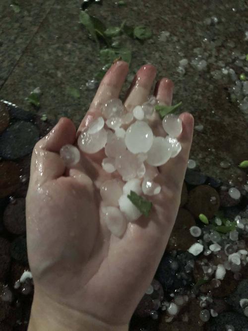 山东滨州阳信天气,山东滨州阳信天气预报今日阵雨-第2张图片-文史 山东滨州阳信天气,山东滨州阳信天气预报今日阵雨-第2张图片-文史