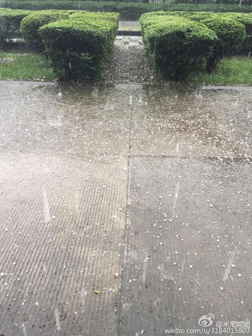 山东滨州阳信天气,山东滨州阳信天气预报今日阵雨-第5张图片-文史 山东滨州阳信天气,山东滨州阳信天气预报今日阵雨-第5张图片-文史