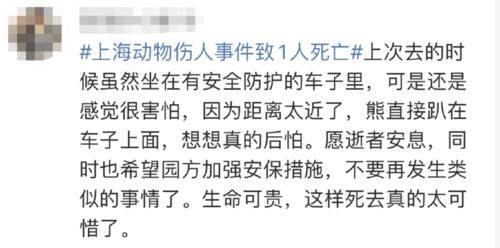 上海野生动物园咬死人,上海野生动物园 咬人-第5张图片-文史 上海野生动物园咬死人,上海野生动物园 咬人-第5张图片-文史