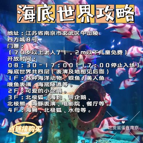 南京海底世界开放时间(南京海底世界开放时间周一休息否)-第5张图片-文史 南京海底世界开放时间(南京海底世界开放时间周一休息否)-第5张图片-文史
