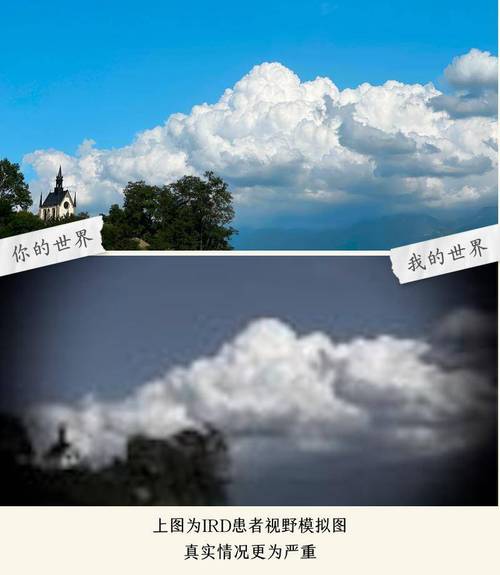 孟村天气今天有雨吗(孟村天气明天几点下雨)-第4张图片-文史 孟村天气今天有雨吗(孟村天气明天几点下雨)-第4张图片-文史