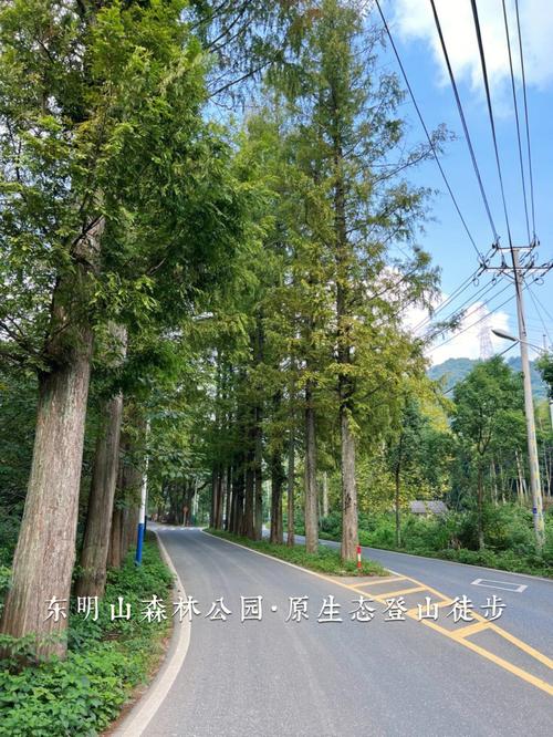 东明天气预报下载,东明天气一周预报-第7张图片-文史 东明天气预报下载,东明天气一周预报-第7张图片-文史