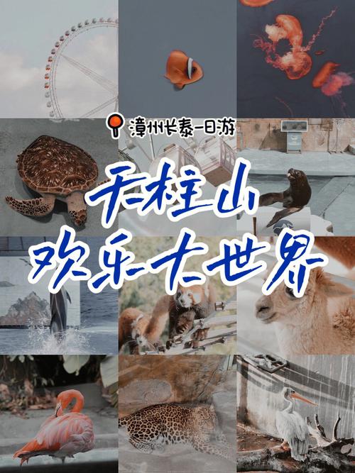 漳州天柱山欢乐大世界（漳州天柱山欢乐大世界天气）-第4张图片-文史