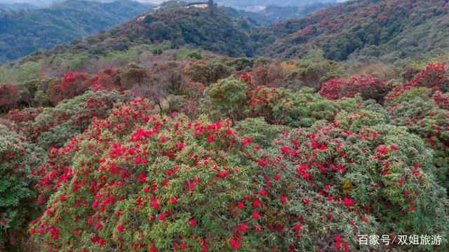 盈江天气24小时,盈江县天气预报一周-第3张图片-文史 盈江天气24小时,盈江县天气预报一周-第3张图片-文史