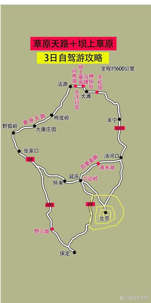 沽源坝上草原自驾游攻略(坝上沽源国家森林公园)-第5张图片-文史 沽源坝上草原自驾游攻略(坝上沽源国家森林公园)-第5张图片-文史