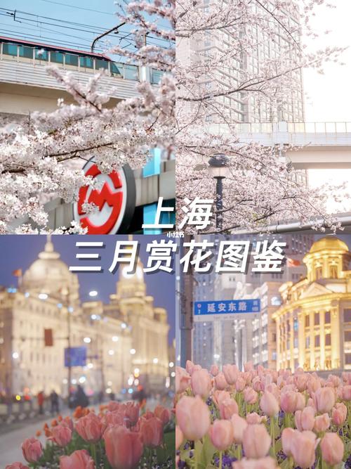 上海世纪公园一日游攻略,上海世纪公园游记-第2张图片-文史 上海世纪公园一日游攻略,上海世纪公园游记-第2张图片-文史