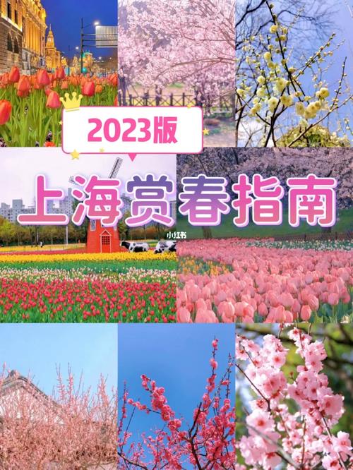 上海世纪公园一日游攻略,上海世纪公园游记-第7张图片-文史 上海世纪公园一日游攻略,上海世纪公园游记-第7张图片-文史
