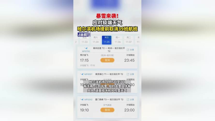 林口40天天气预报(林口40天天气预报最新)-第4张图片-文史 林口40天天气预报(林口40天天气预报最新)-第4张图片-文史