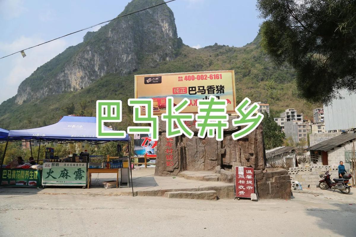 广西巴马长寿村旅游(广西巴马长寿村旅游推荐)-第5张图片-文史 广西巴马长寿村旅游(广西巴马长寿村旅游推荐)-第5张图片-文史