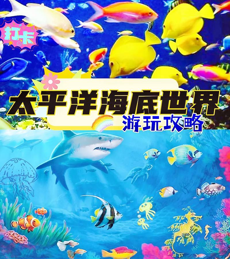 北京海洋馆好玩吗,北京海洋馆好玩吗知乎-第7张图片-文史 北京海洋馆好玩吗,北京海洋馆好玩吗知乎-第7张图片-文史