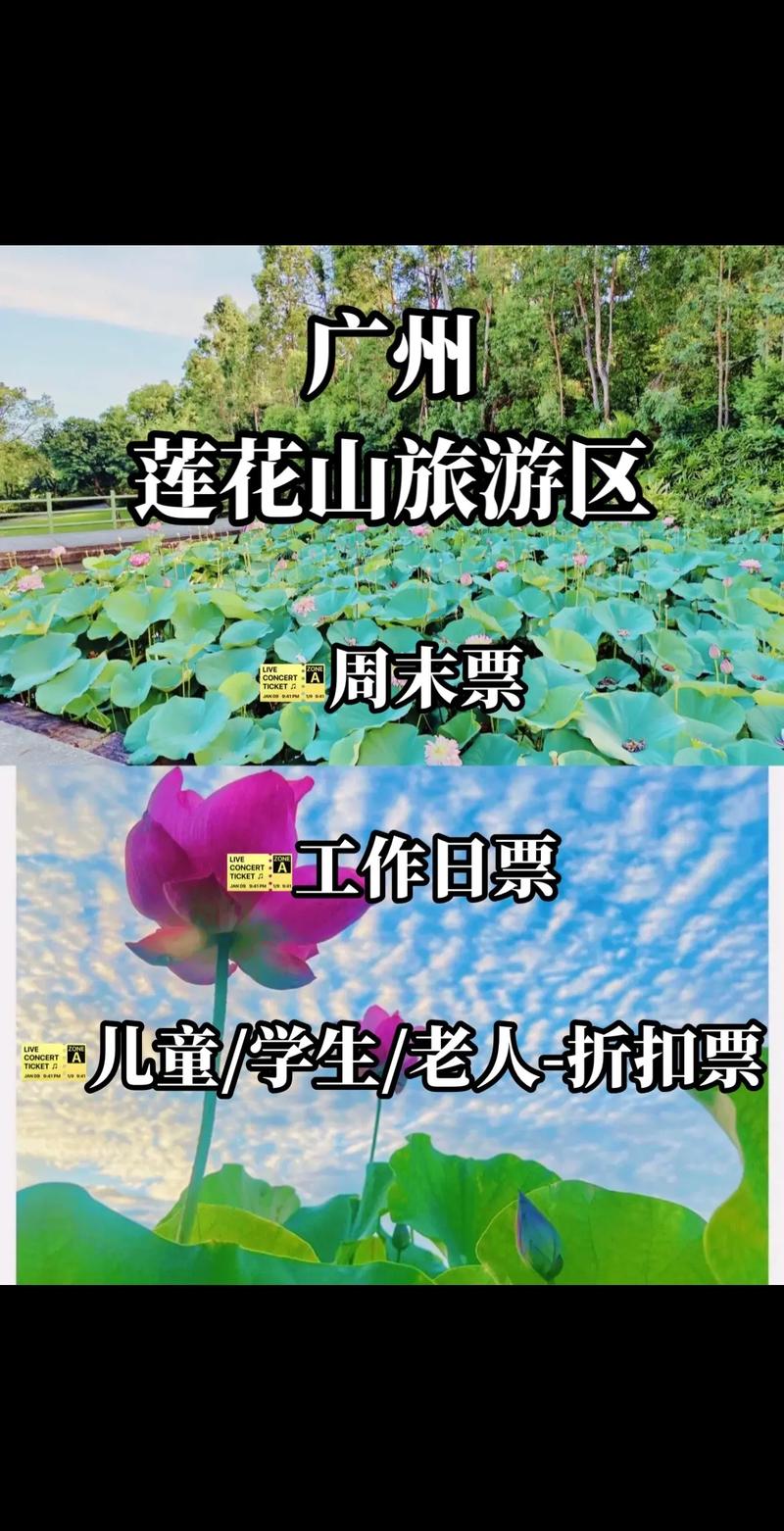 广州莲花山门票（广州莲花山门票为什么那么贵）