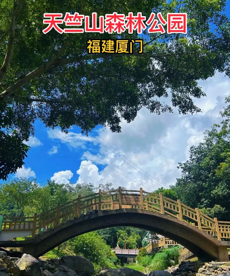厦门海沧天竺山森林公园,厦门海沧天竺山森林公园图片-第3张图片-文史 厦门海沧天竺山森林公园,厦门海沧天竺山森林公园图片-第3张图片-文史