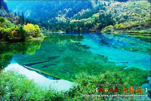 九寨沟门票预订官方网站微信（九寨沟门票预约官方网站）-第3张图片-文史