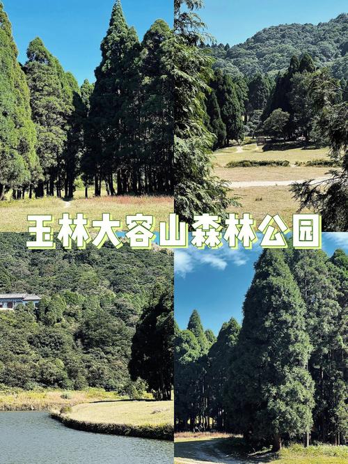 容县未来一周天气（容县近日天气预报）