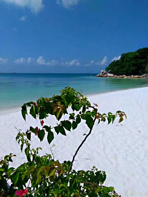 热浪岛图片,热浪岛旅游路线-第6张图片-文史 热浪岛图片,热浪岛旅游路线-第6张图片-文史