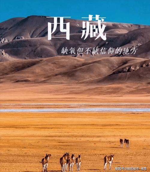 去一趟西藏要花多少钱（去一趟西藏多少钱就够了?）