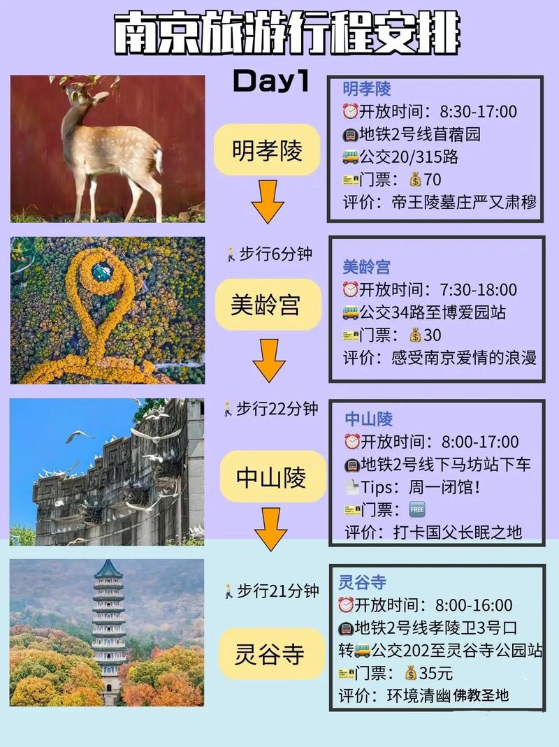 南京游玩攻略路线3日游(南京跟团三日游多少钱)-第3张图片-文史 南京游玩攻略路线3日游(南京跟团三日游多少钱)-第3张图片-文史