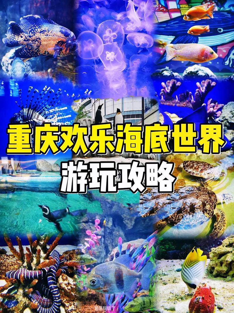 重庆哪个海洋馆比较好玩,重庆海洋馆门票多少钱