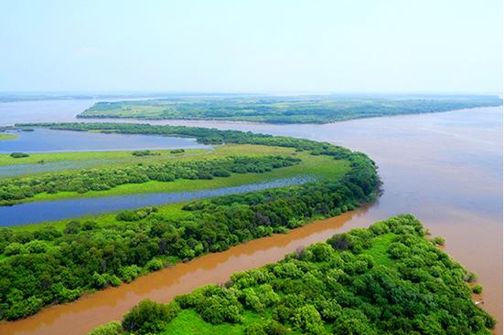 同江八岔天气预报,同江八岔天气预报查询-第1张图片-文史 同江八岔天气预报,同江八岔天气预报查询-第1张图片-文史