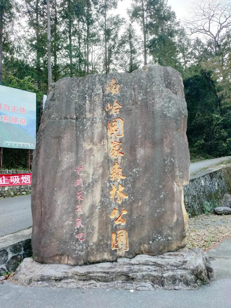 南岭国家森林公园（南岭国家森林公园为什么暂停开放了）