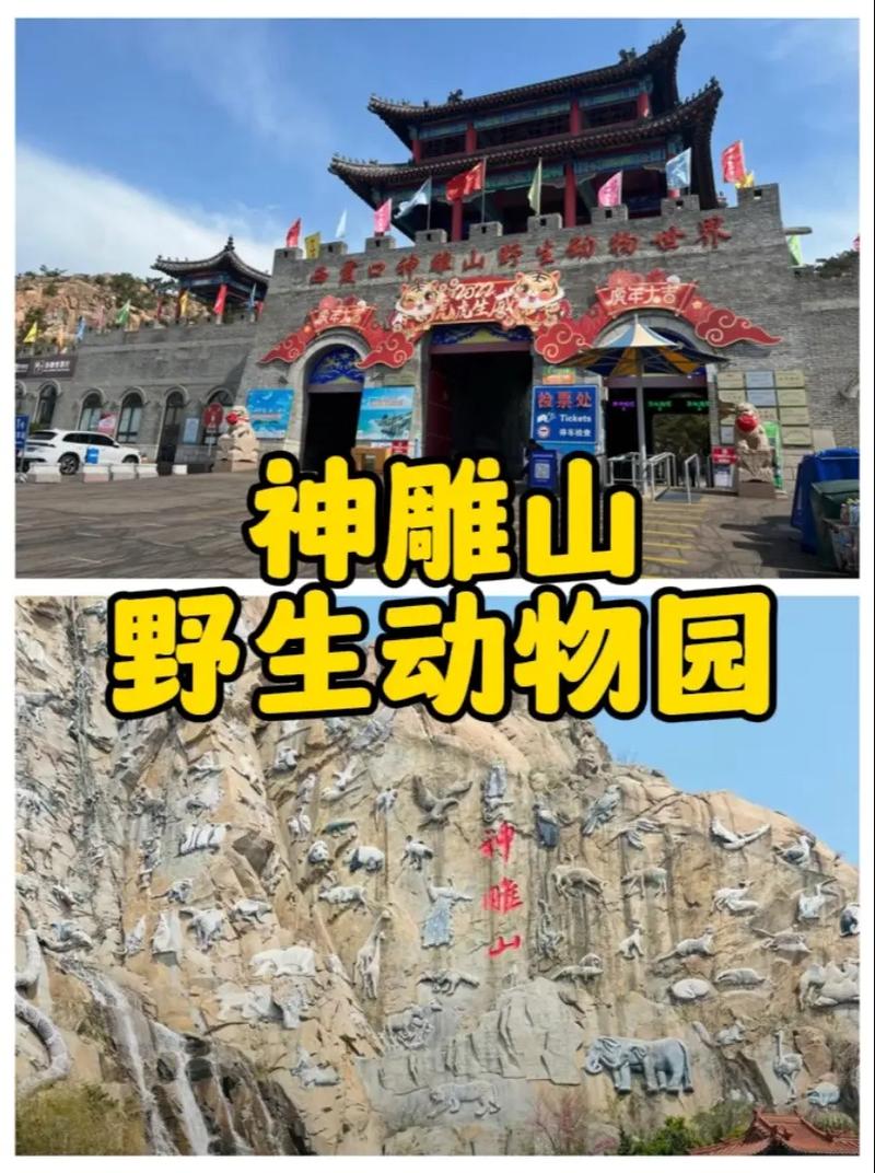 神雕山野生动物园地图(神雕山野生动物园门票)-第6张图片-文史 神雕山野生动物园地图(神雕山野生动物园门票)-第6张图片-文史