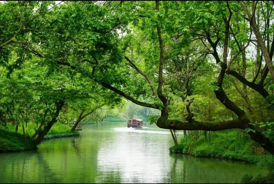 西溪国家湿地公园简介,西溪国家湿地公园简介资料-第3张图片-文史 西溪国家湿地公园简介,西溪国家湿地公园简介资料-第3张图片-文史