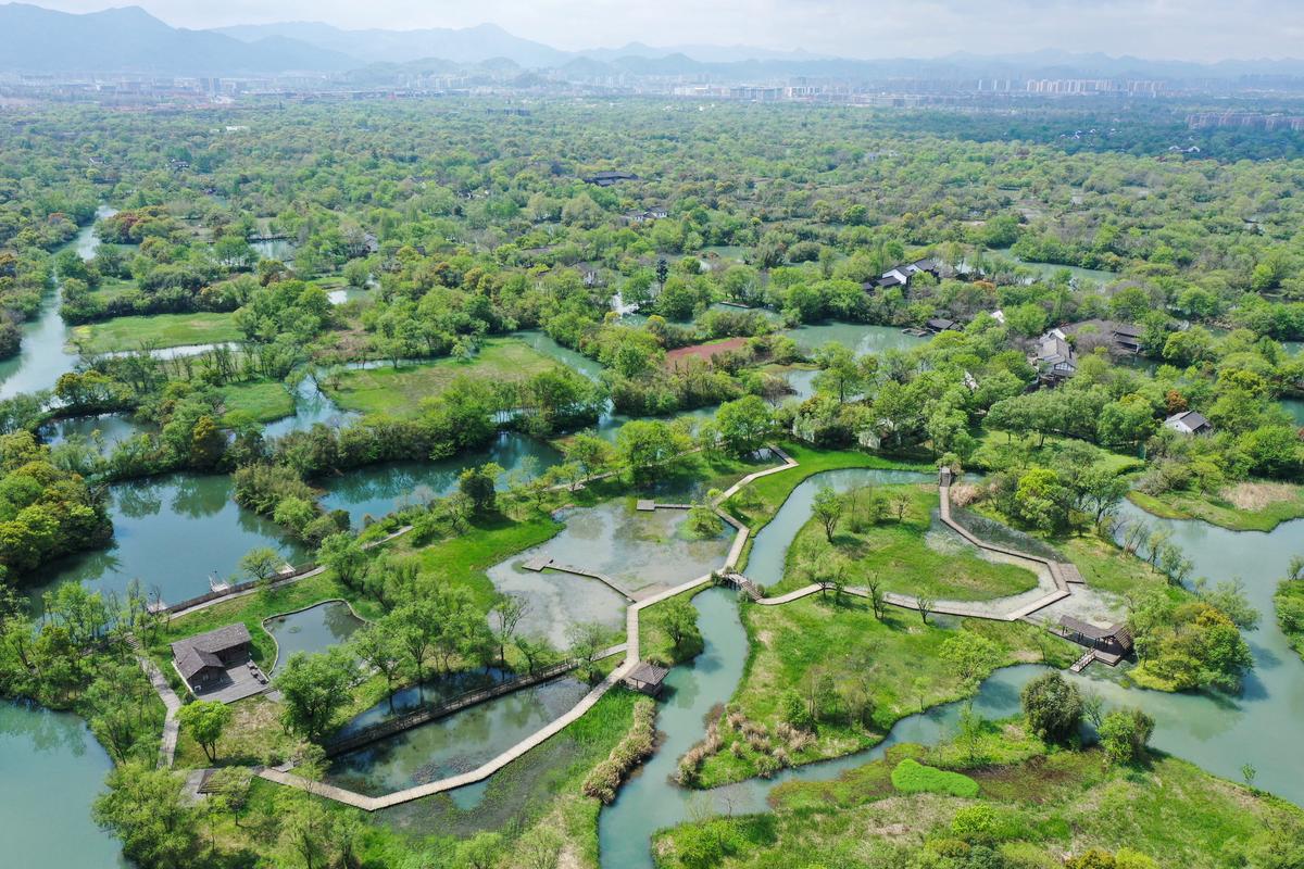 西溪国家湿地公园简介,西溪国家湿地公园简介资料-第5张图片-文史 西溪国家湿地公园简介,西溪国家湿地公园简介资料-第5张图片-文史