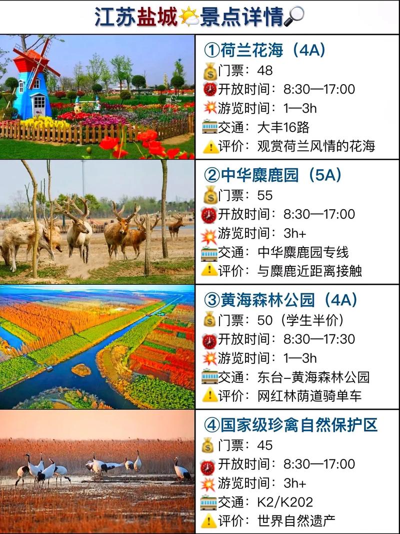 盐城市天气预报查询,盐城天气预报号码查询