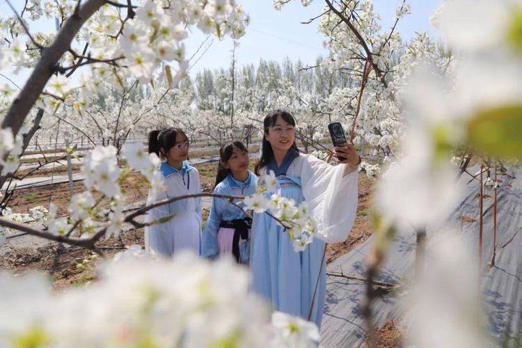 房山旅游攻略及景点介绍(房山旅游攻略及景点介绍图)-第5张图片-文史 房山旅游攻略及景点介绍(房山旅游攻略及景点介绍图)-第5张图片-文史
