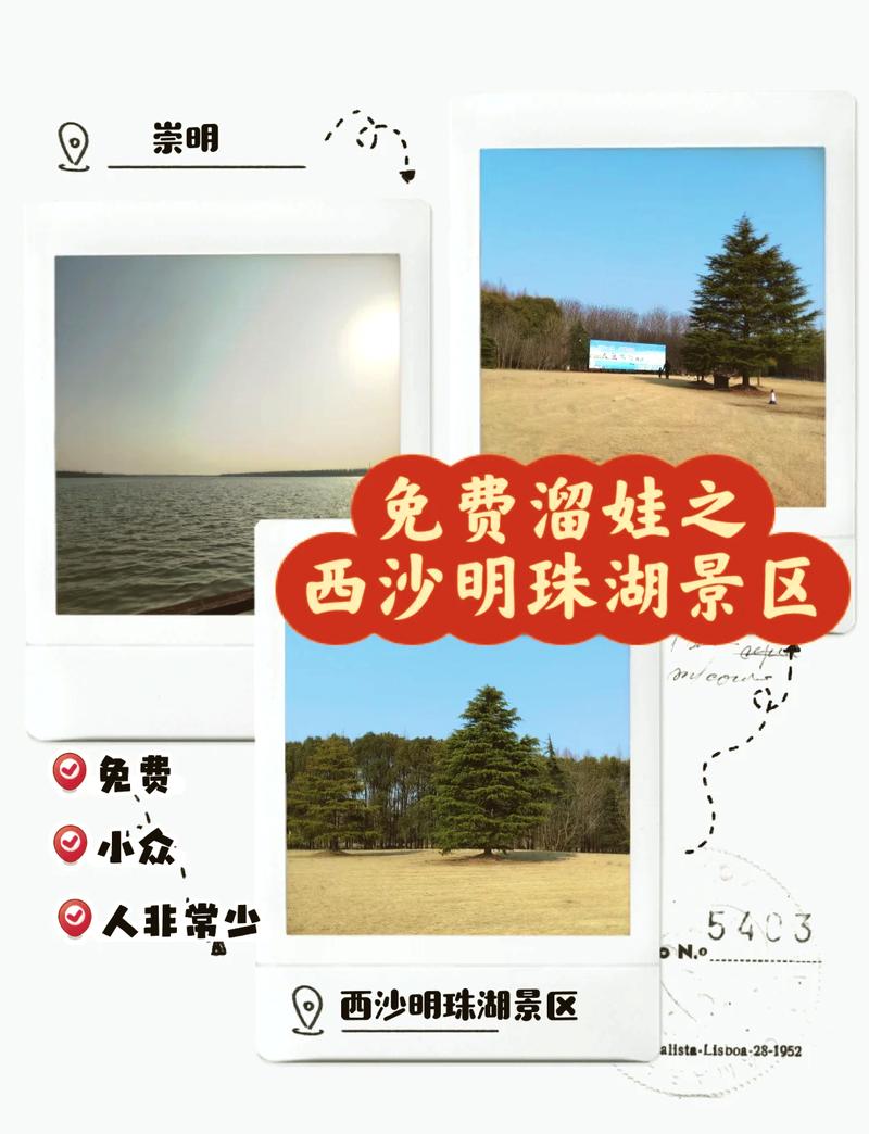 崇明岛适合看海的地方,崇明岛哪个景点可以看海-第2张图片-文史 崇明岛适合看海的地方,崇明岛哪个景点可以看海-第2张图片-文史