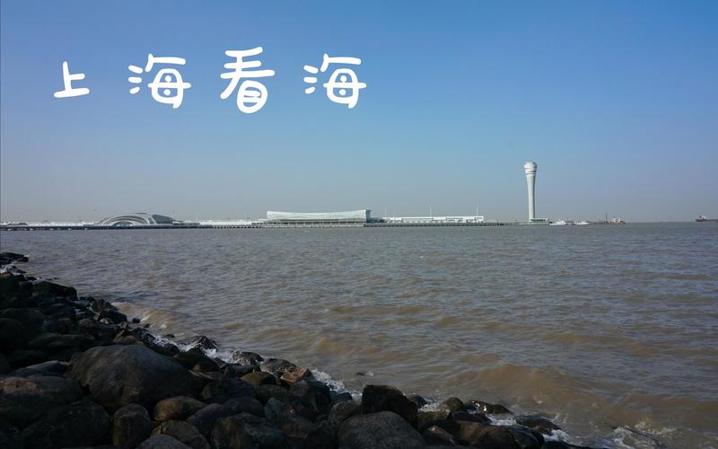 崇明岛适合看海的地方,崇明岛哪个景点可以看海-第6张图片-文史 崇明岛适合看海的地方,崇明岛哪个景点可以看海-第6张图片-文史