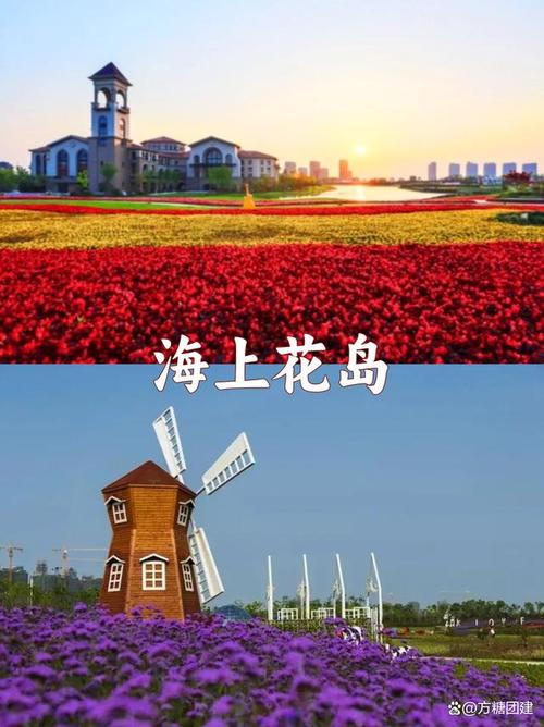 崇明岛适合看海的地方,崇明岛哪个景点可以看海-第7张图片-文史 崇明岛适合看海的地方,崇明岛哪个景点可以看海-第7张图片-文史