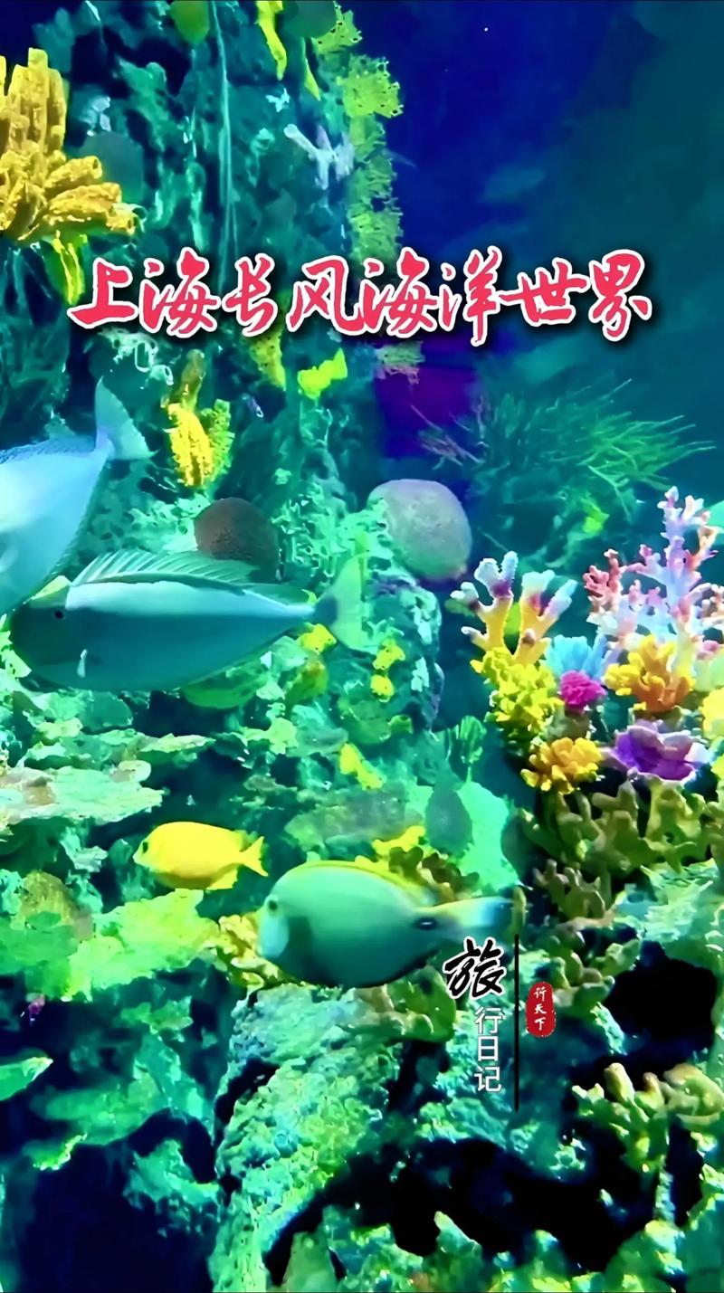 上海长风公园有什么好玩的（上海长风公园游记）-第5张图片-文史