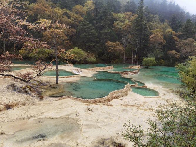 四川黄龙景区海拔多少（四川九寨沟景区海拔多少）-第3张图片-文史