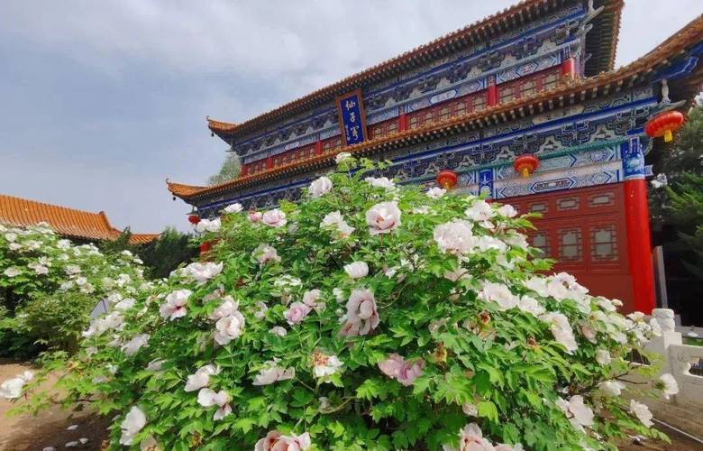 古县30天天气预报,古县一周天气预-第4张图片-文史 古县30天天气预报,古县一周天气预-第4张图片-文史