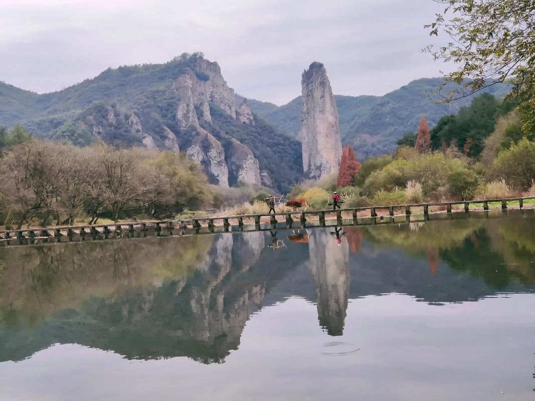 丽水旅游攻略自助游,丽水旅游攻略自驾游-第5张图片-文史 丽水旅游攻略自助游,丽水旅游攻略自驾游-第5张图片-文史