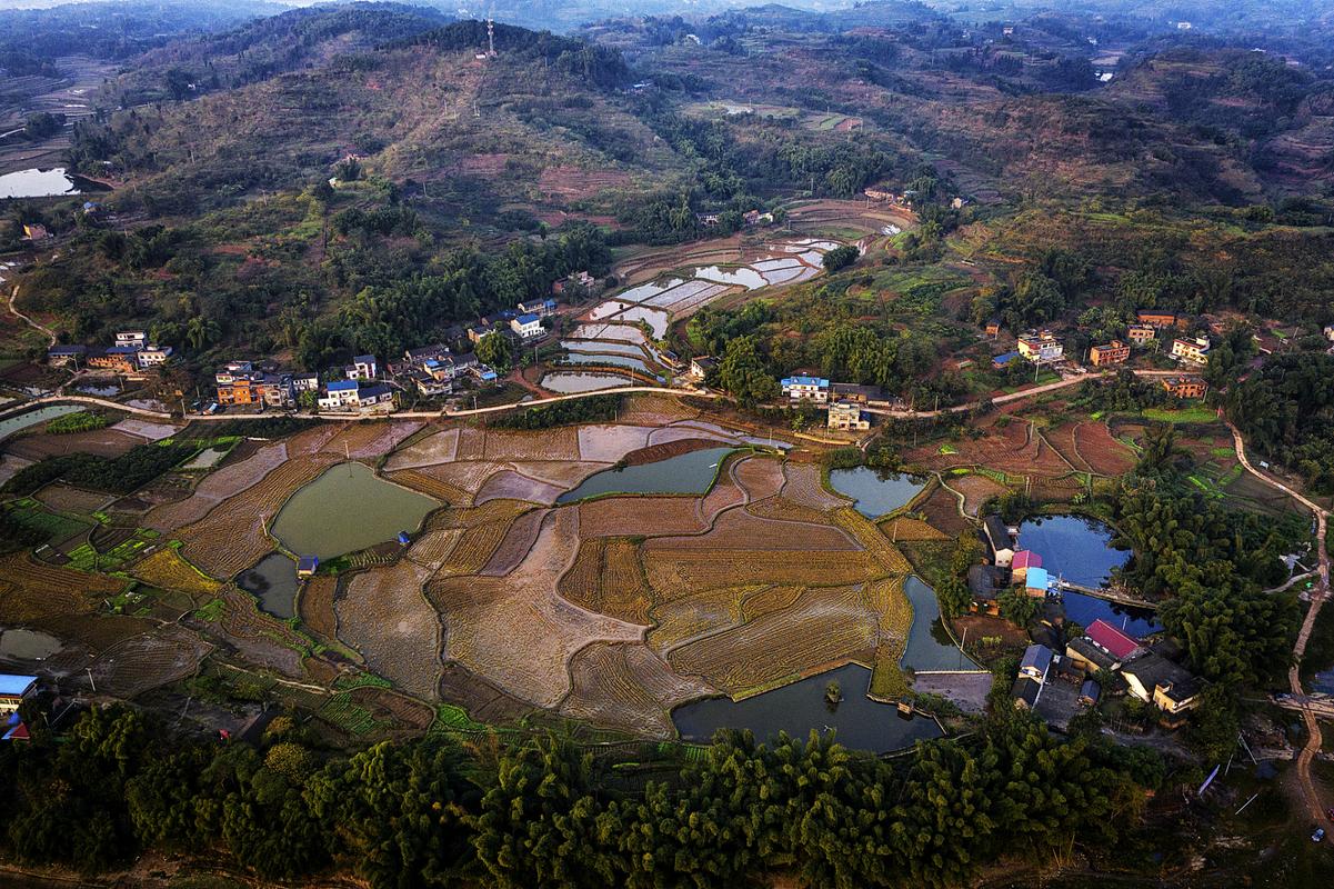 龙川天气15天预报,龙川天气15天预报查询-第2张图片-文史 龙川天气15天预报,龙川天气15天预报查询-第2张图片-文史